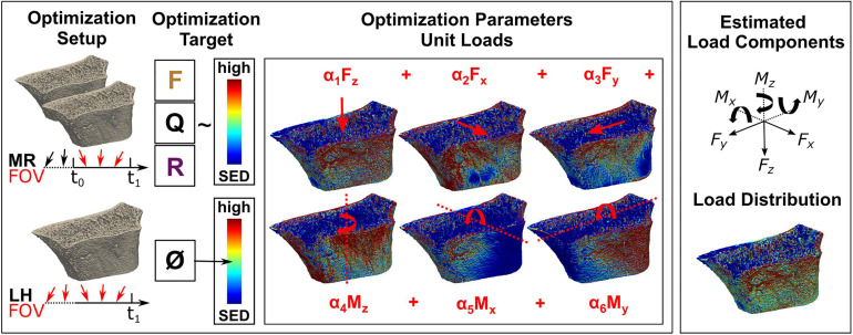 Published load-estimation workflow relating formation, quiescence and resorption to finite element unit-load simulations.