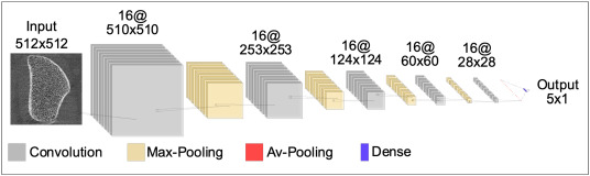 Published convolutional neural network architecture for grading motion in HR-pQCT images.